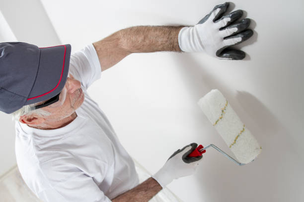 Best Mold Odor Removal Services  in Shandon, CA