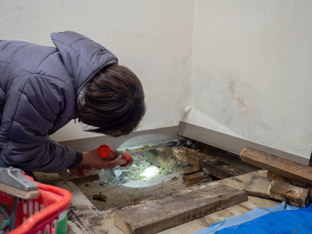 Best HVAC Mold Inspection and Cleaning  in Shandon, CA