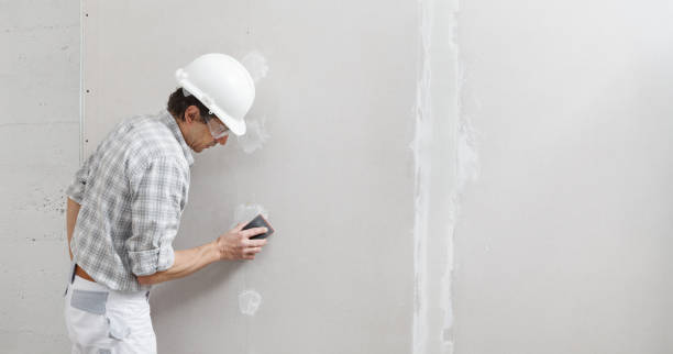 Best Mold Remediation for Rental Properties  in Shandon, CA