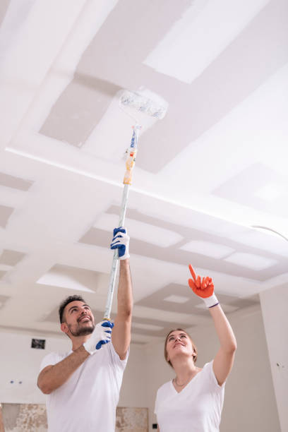 Best Dehumidification Services  in Shandon, CA