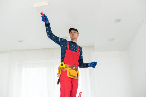 Mold Remediation for Rental Properties in Shandon, CA