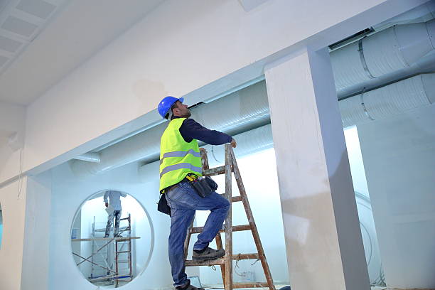Best Comprehensive Air Testing for Mold Contaminants  in Shandon, CA